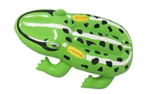 Inflatable Frog Float